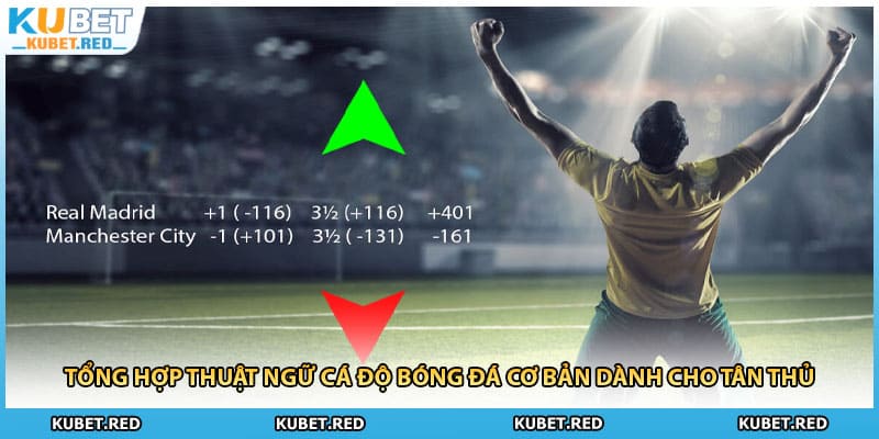 Tổng hợp thuật ngữ cá độ bóng đá cơ bản dành cho tân thủ